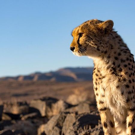 Готель Neuras Wine And Wildlife Estate Namib-Naukluft National Park Екстер'єр фото